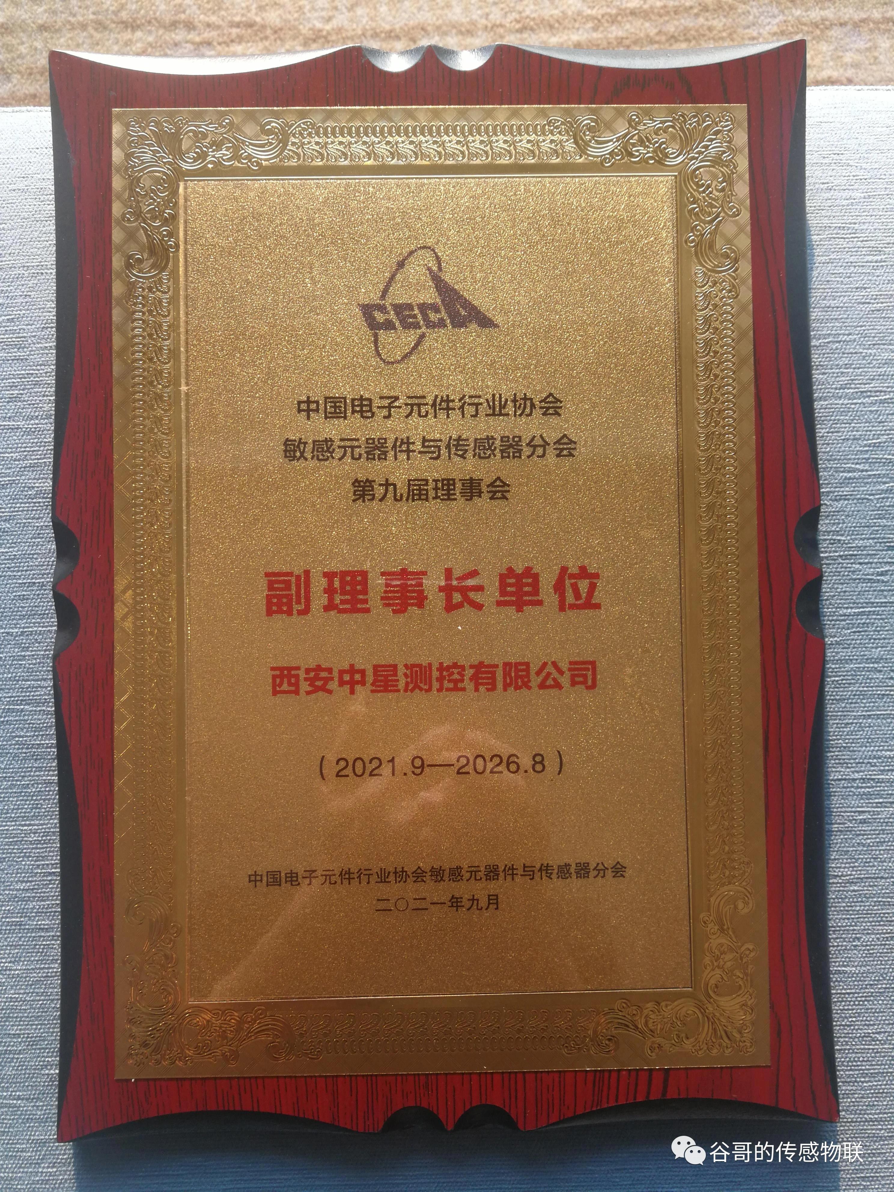 071638863889677595.jpeg
