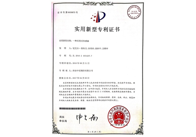 4实用新型专利：一种应变式传感器.jpg